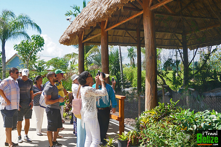Sneak Peek At Norwegian Cruise Line’s Exclusive Harvest Caye Port