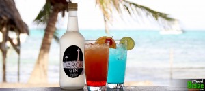 Mix Delicious Cocktails with Belize’s Baron Gin, New to Travellers Liqours