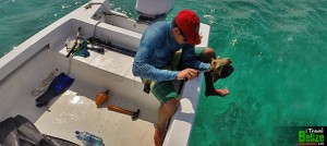 Conch Fishing in San Pedro, Ambergris Caye