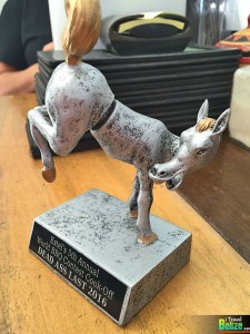 estels bbq ribs cookoff 12