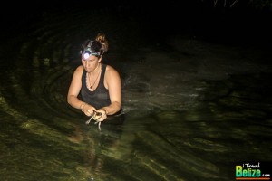 Wild Crocodile Encounters at Ambergris Caye’s Newest Tour