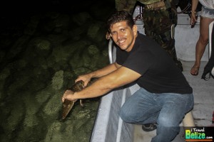 Wild Crocodile Encounters at Ambergris Caye’s Newest Tour