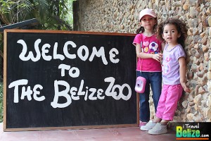 belize zoo 27