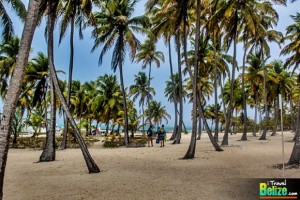 Boobies and Paradise – Escape to Half Moon Caye Belize