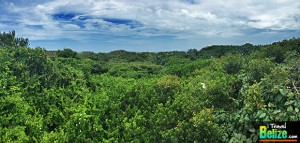 Boobies and Paradise – Escape to Half Moon Caye Belize
