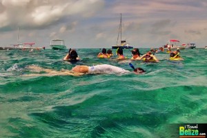 Marvel at the Underwater Beauty of Hol Chan Marine Reserve