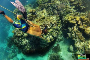 Marvel at the Underwater Beauty of Hol Chan Marine Reserve
