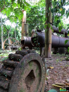 The Abandoned Serpon Sugar Mill Takes You Back In Time