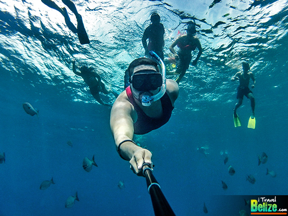 Plunge into the Aquarium at Long Caye, Belize