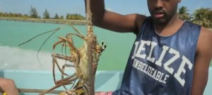 UK Band Pays Tribute to Belize with Song