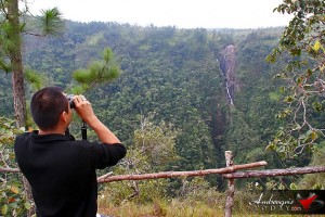 Visit Five of Belize’s Most Amazing Waterfalls in Mountain Pine Ridge Reserve