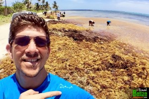 my traveling feet sargasso build beach 03