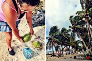 Problems of Living in Belize – Coconut Roadblock