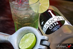 Mix Delicious Cocktails with Belize’s Baron Gin, New to Travellers Liqours