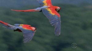 Screen Shot 2016 04 14 at 11.38.34 AM copy