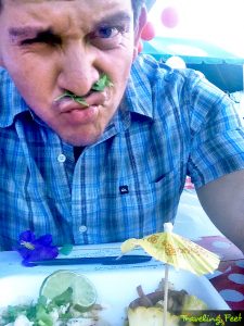 Cilantro Struggles Traveling Feet 02