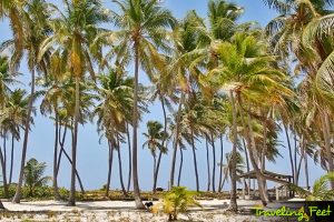 half moon caye belize escape 13