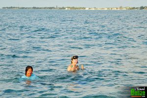 swim reef awareness 11