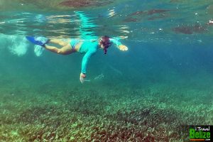 swim reef awareness 14