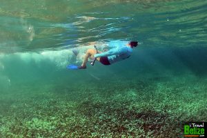 swim reef awareness 15