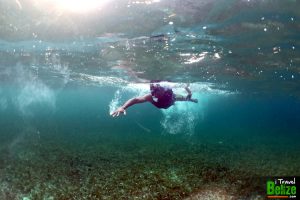 swim reef awareness 16