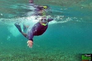 swim reef awareness 17