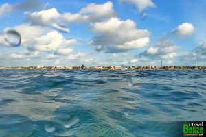 swim reef awareness 18