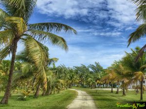 traveling feet caye chapel golf 05