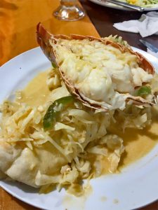 lobster season opens 01