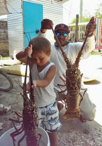 lobster season opens 11