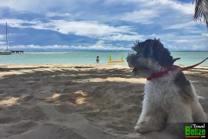 power outage beach day belize 01
