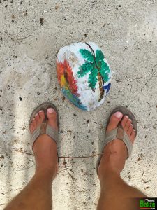 basil jones camp fun 23