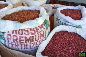 Shopping for fruits and vegetables at belize city market
