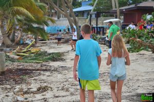 surviving hurricane earl 04