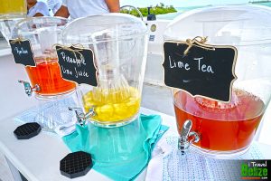 seas d day house boat tour