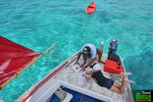 madi swims barrier reef 03