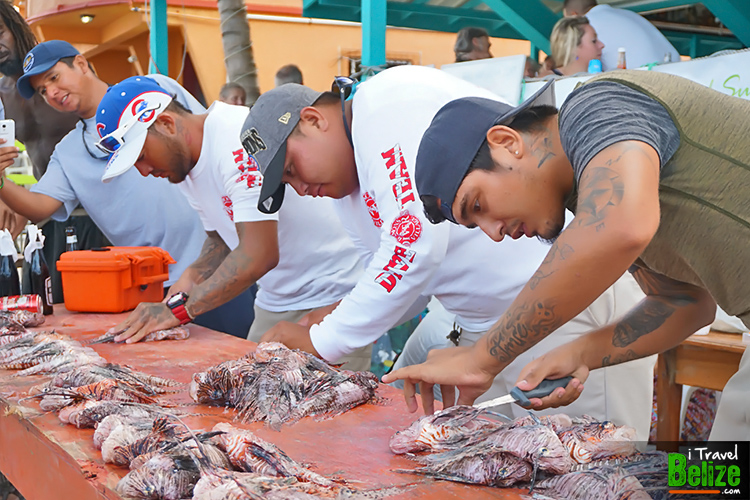 Lionfish Tournament San Pedro, Ambergris Caye, Belize