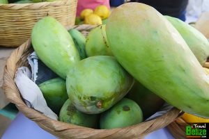 Eating as many Mangos as I Could at Hopkins Mango Fest