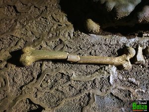 sleeping giant cave 16